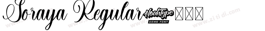 Soraya Regular字体转换